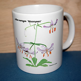 mug DS-097 6699.jpg